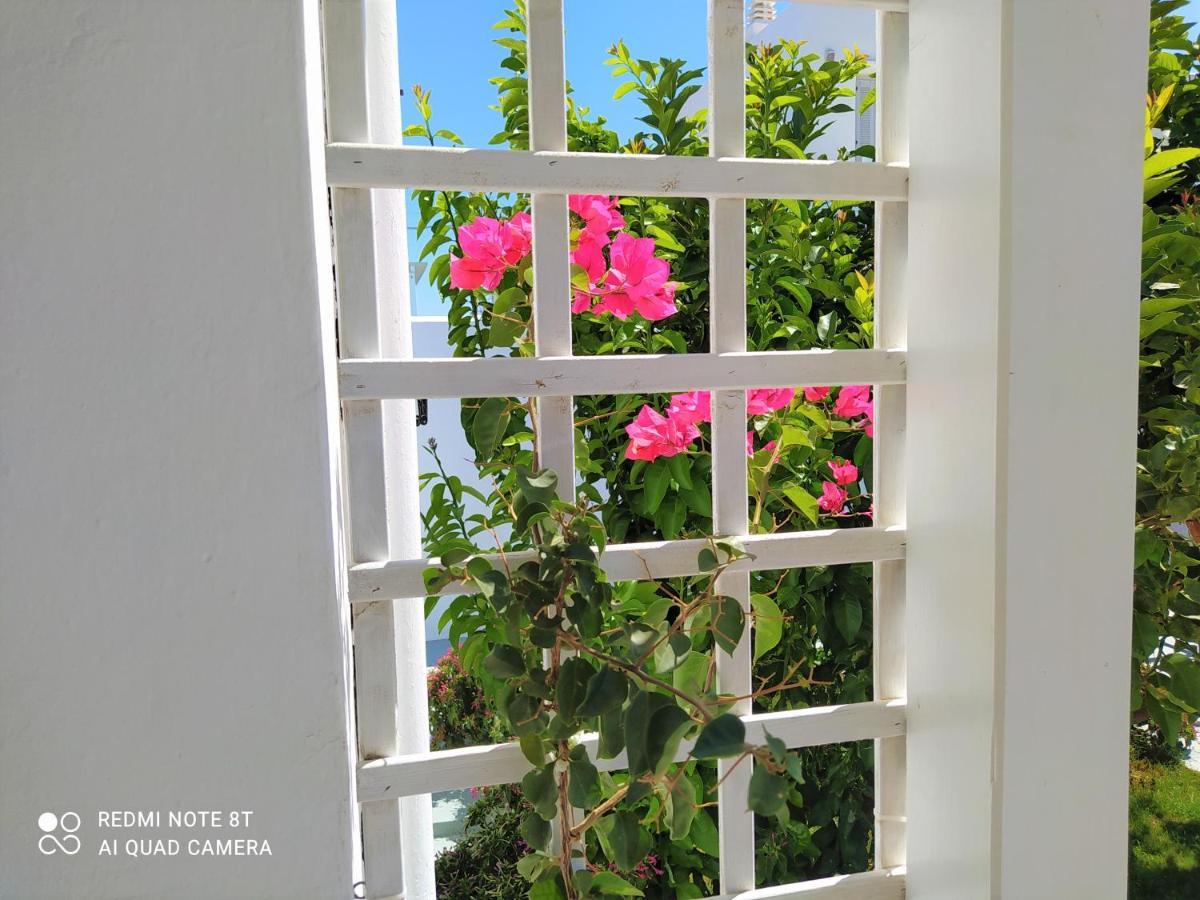 Geoni'S Villa & Garden Spa Apollonía Exteriér fotografie